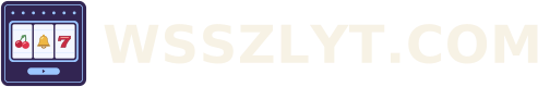 WSSZLYT.COM